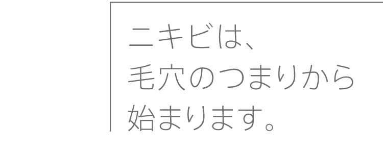 ニキビは、毛穴のつまりから始まります。