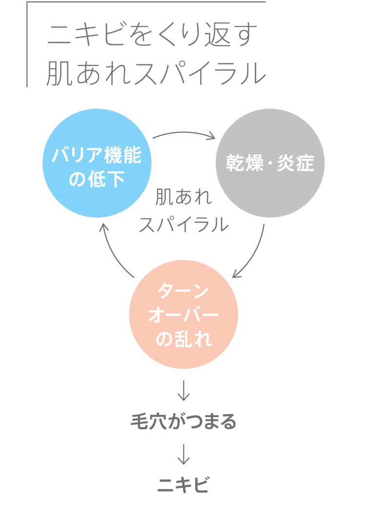 ニキビをくり返す肌あれスパイラル