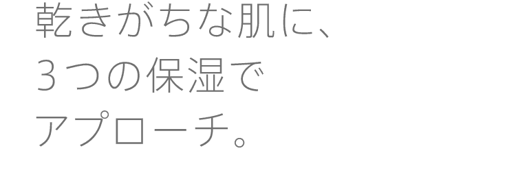
              乾きがちな肌に、３つの保湿でアプローチ。
              