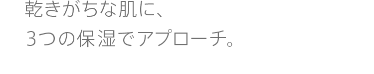 
              乾きがちな肌に、３つの保湿でアプローチ。
              