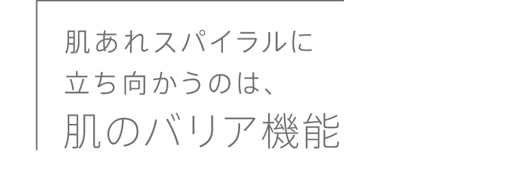 
              肌あれスパイラルに立ち向かうのは、肌のバリア機能
              