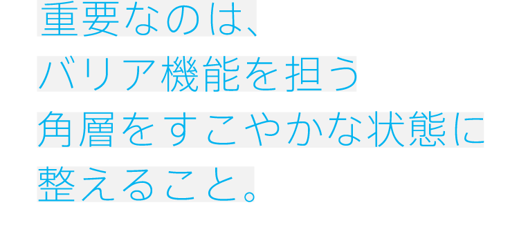 
              重要なのは、バリア機能を担う角層をすこやかな状態に整えること。
              