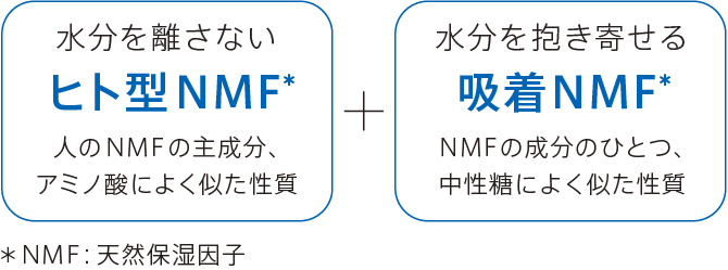 角層保水量を高める