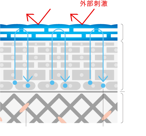 若々しくすこやかな肌