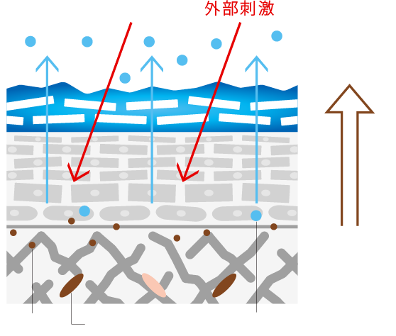 年齢を感じはじめた肌
