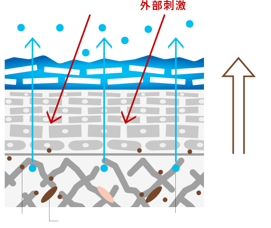 年齢を感じはじめた肌