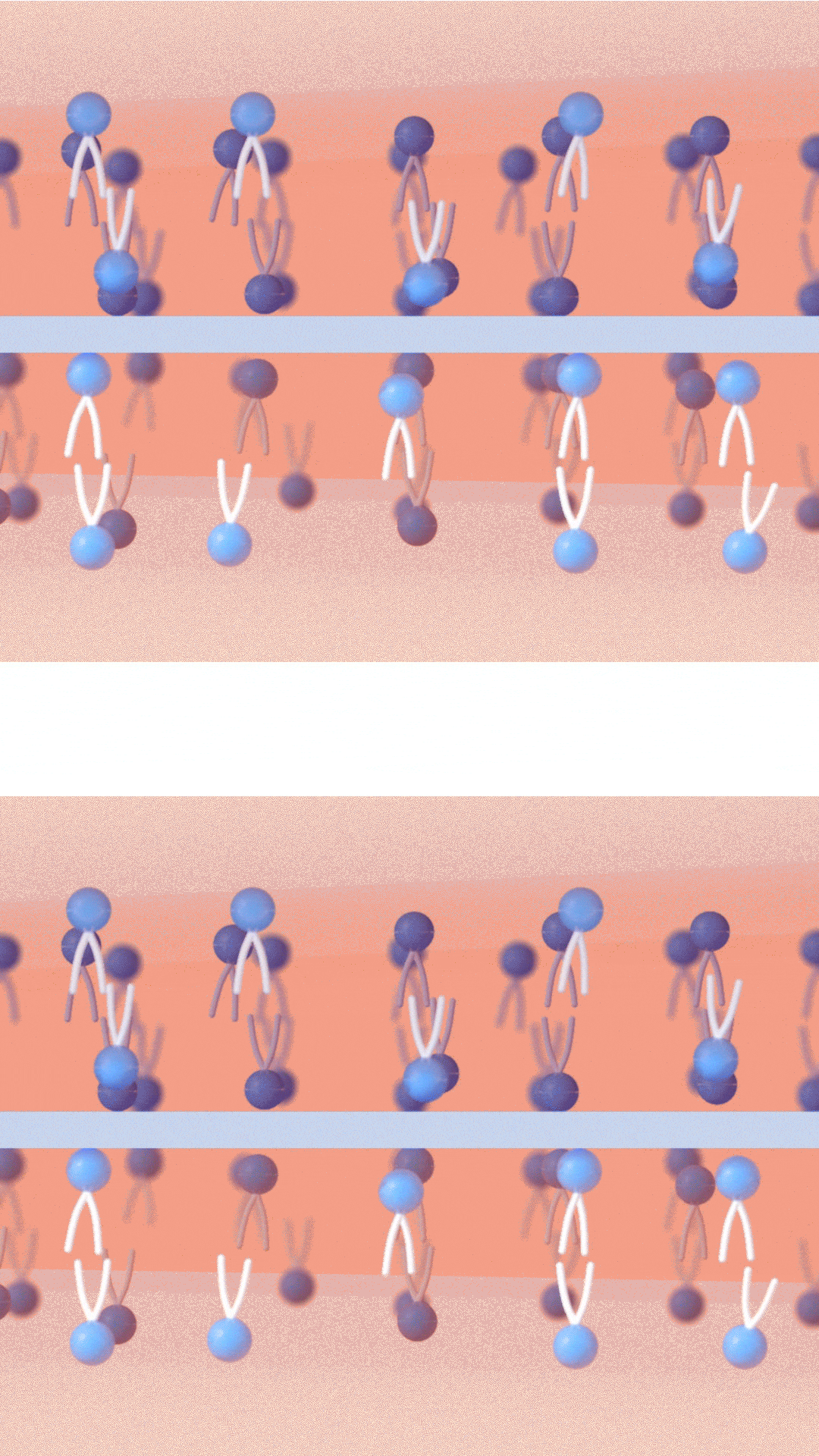 ラメラ構造が乱れた状態のイメージ画像