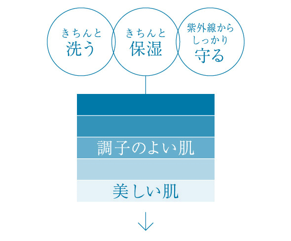 きちんと洗う きちんと保湿 紫外線からしっかり守る 調子のよい肌 美しい肌