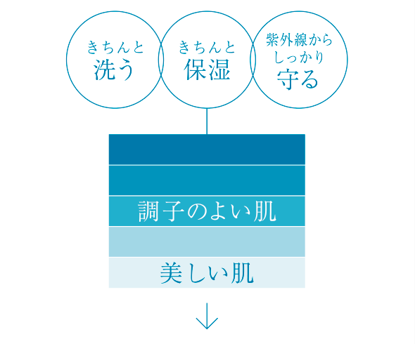 きちんと洗う きちんと保湿 紫外線からしっかり守る 調子のよい肌 美しい肌