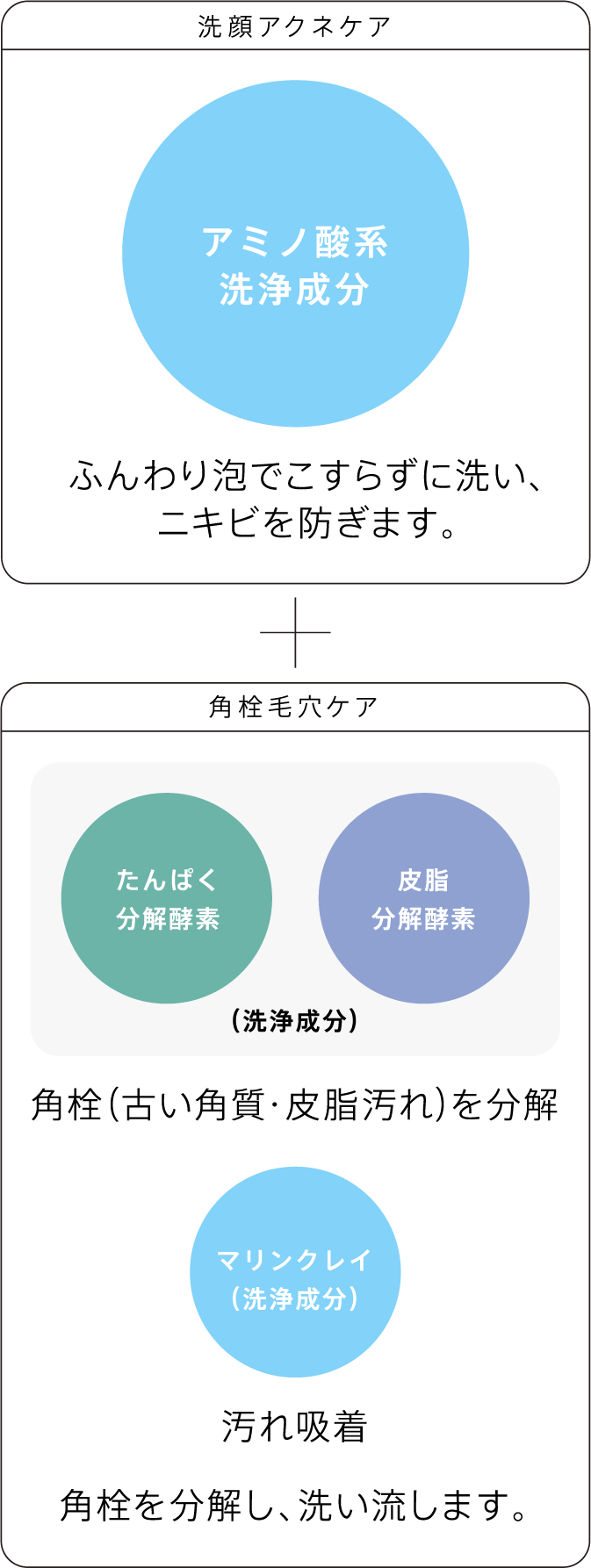 洗顔アクネケア + 角栓毛穴ケア
