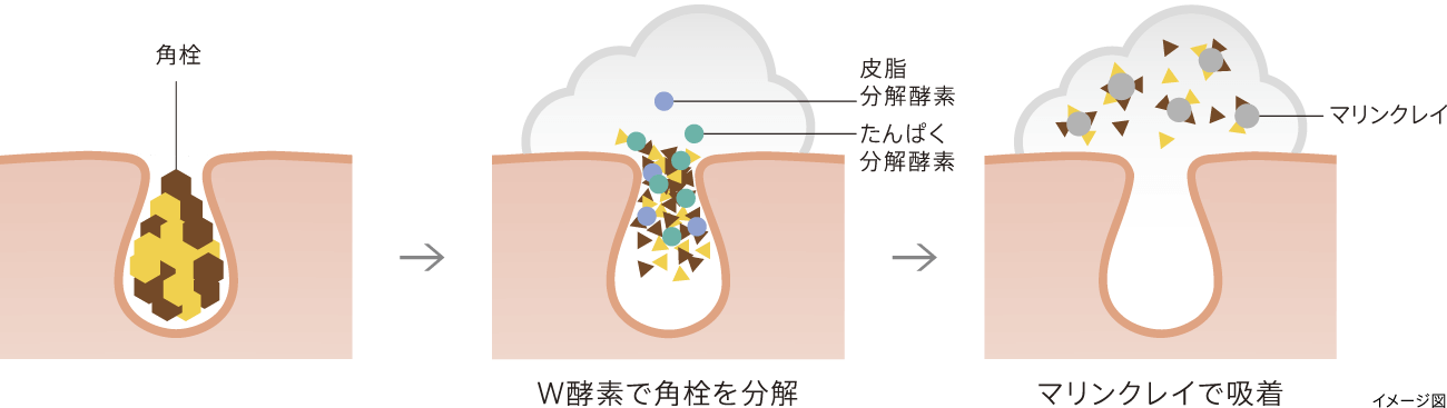 W酵素で角栓を分解し、マリンクレイで吸着