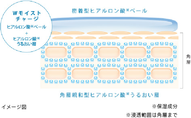 ヒアルロン酸でうるおいチャージ