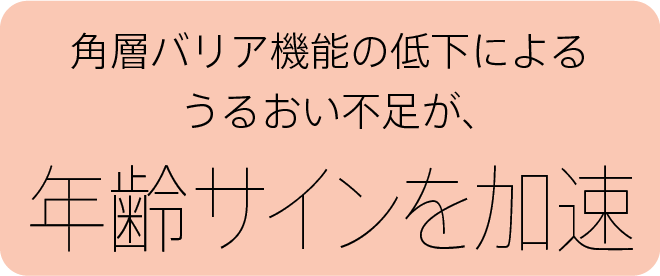 角層バリア機能の低下によるうるおい不足が、年齢サインを加速