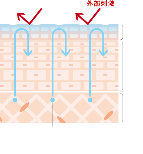 若々しくすこやかな肌