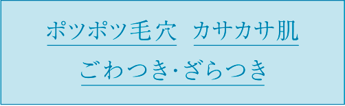 ポツポツ毛穴 カサカサ肌 ごわつき・ざらつき