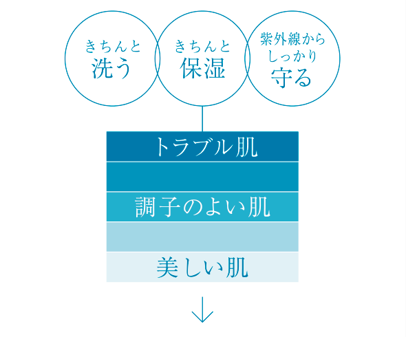 きちんと洗う きちんと保湿 紫外線からしっかり守る トラブル肌 調子のよい肌 美しい肌